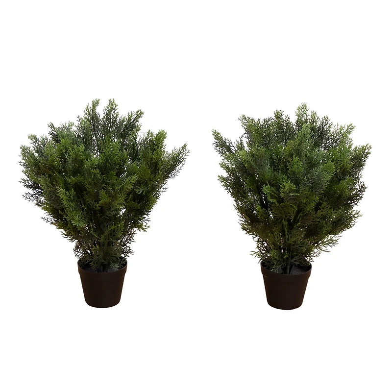 2ft. Potted UV Resistant Cedar Bushes, 2ct.