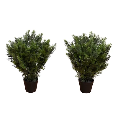 2ft. Potted UV Resistant Cedar Bushes, 2ct.
