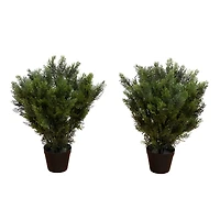 2ft. Potted UV Resistant Cedar Bushes, 2ct.