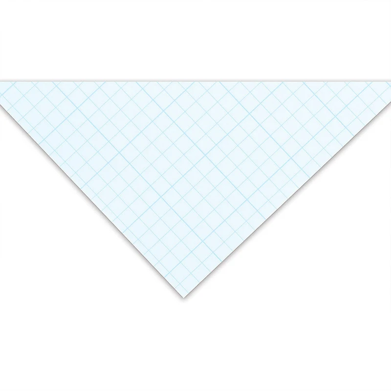 Canson® Artist Series Graph & Layout Paper Pad