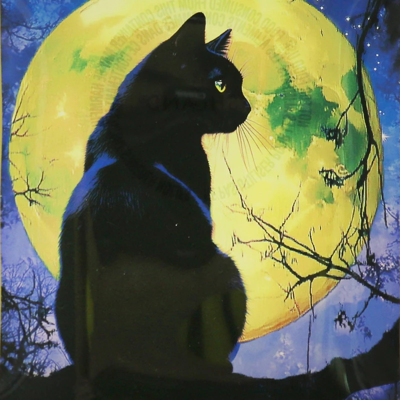 4" x 6" Black Cat Glass Plate by Ashland®
