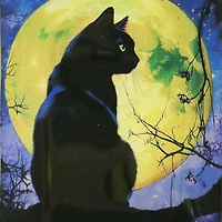 4" x 6" Black Cat Glass Plate by Ashland®