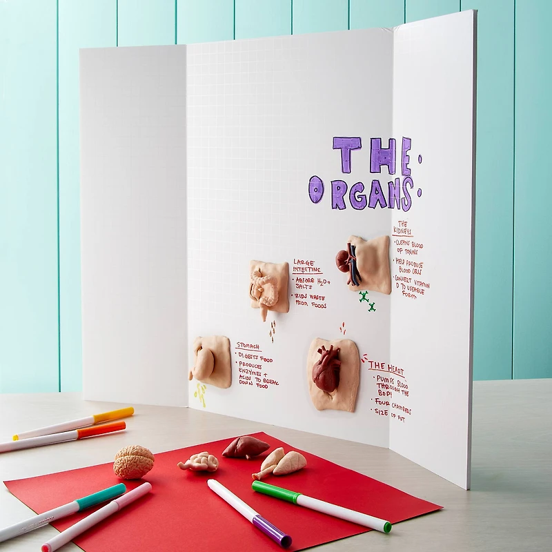 12 Pack: White Guide-Line 18" x 24" Foam Tri-Fold Display Board