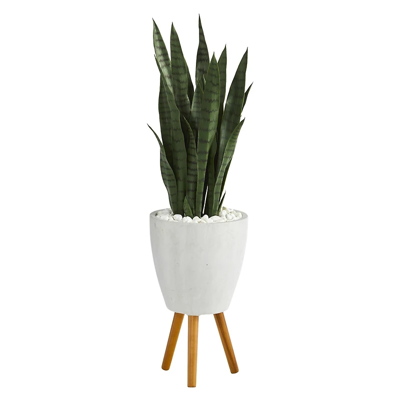 4ft. Snake Plant in White Planter with Stand