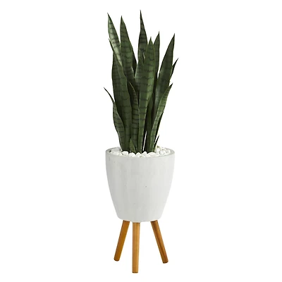 4ft. Snake Plant in White Planter with Stand