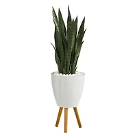 4ft. Snake Plant in White Planter with Stand