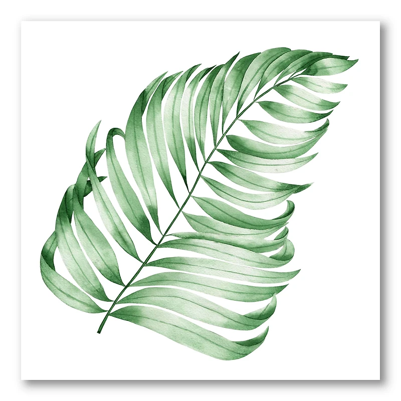 Designart - Tropical Leaf Of Monstera II