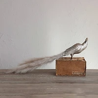 Hello Honey® 11" Champagne Fabric & Feather Peacock with Glitter and LED Lights