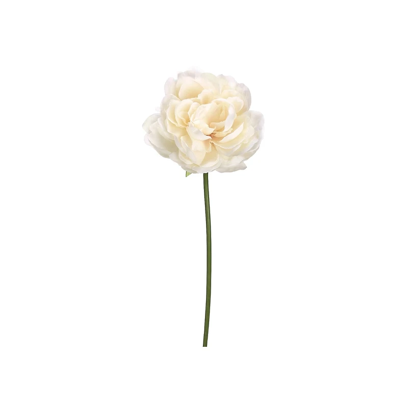 Cream Blush Peony Stem