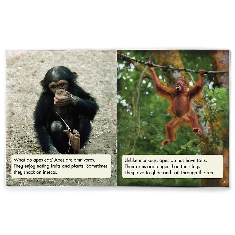 Junior Learning® Decodable Readers Sound Families Long Vowels Non-Fiction Phase 5.5