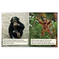 Junior Learning® Decodable Readers Sound Families Long Vowels Non-Fiction Phase 5.5