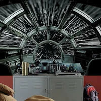 RoomMates Star Wars Millennium Falcon Peel & Stick Mural