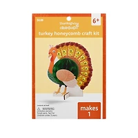 Turkey Honeycomb Craft Kit by Creatology™