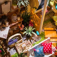 Rolife® Miller's Garden DIY Miniature House Kit