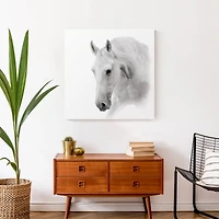 White Horse 24" x 24" Canvas Wall Art
