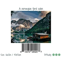 Winnie's Picks A Norwegian Fjord Cabin Adult Paint by Numbers Kit