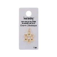 14K Gold Plated Star of David Charm by Bead Landing™