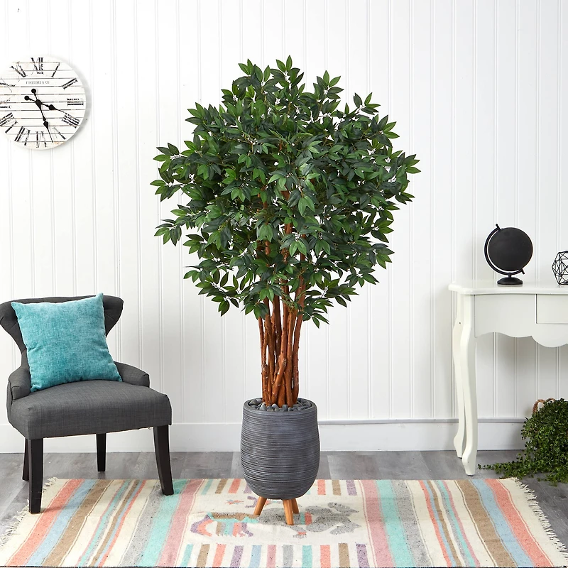 6ft. Lychee Tree in Gray Planter with Stand
