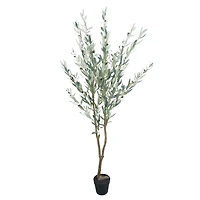 5.5ft. Potted Green Olive Tree by Ashland®