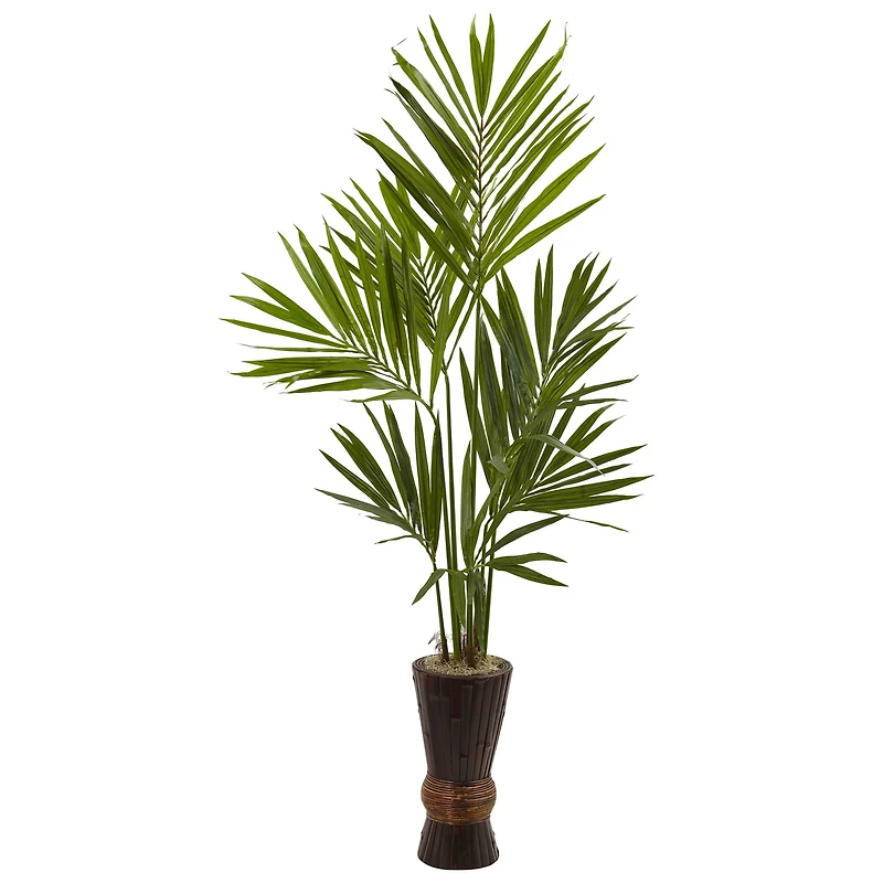6ft. Kentia Palm Tree with Bamboo Planter