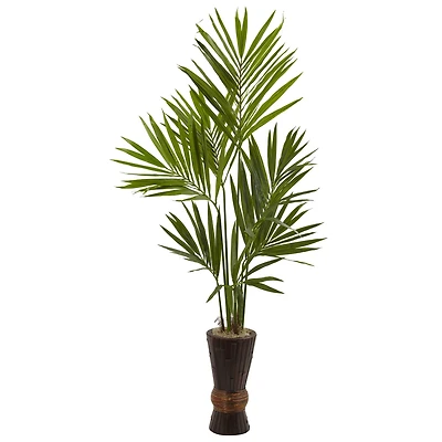 6ft. Kentia Palm Tree with Bamboo Planter