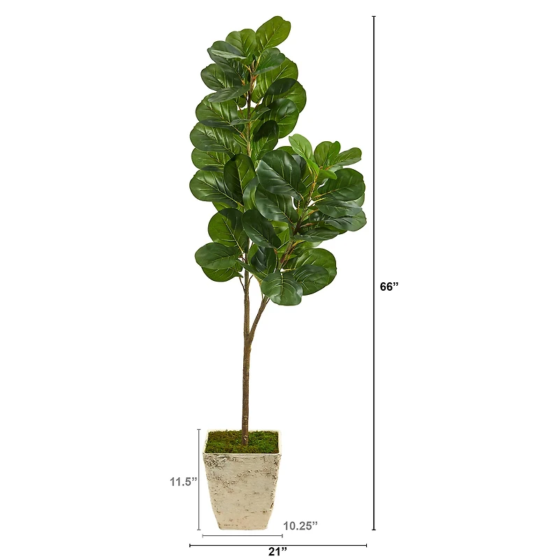 5.5ft. Fiddle leaf Fig Artificial Tree in Country White Planter