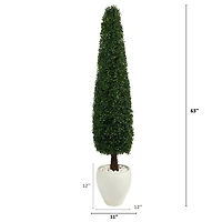 5.25ft. Boxwood Topiary in White Planter