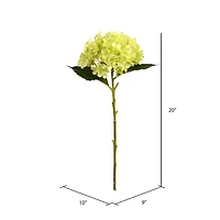3 Pack: Green Hydrangea Stem