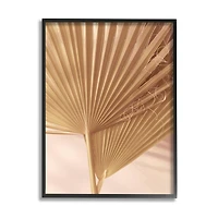 Stupell Industries Two Palm Fronds Sun Bleached Photography Tropical Plants Framed Wall Art