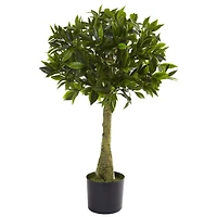 3ft. Potted Bay Leaf Topiary