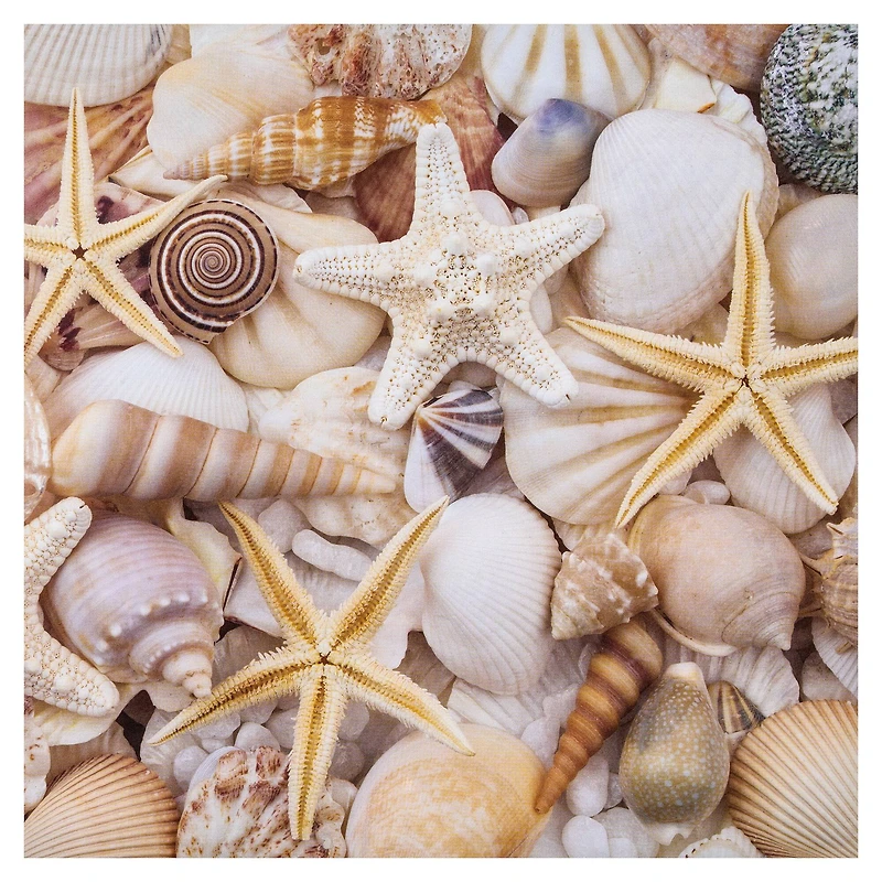 Seashell & Beach Double-Sided Cardstock by Recollections™, 12" x 12"