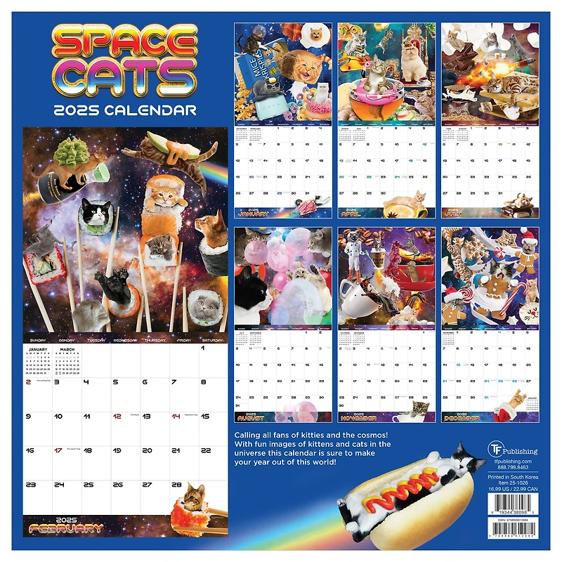 TF Publishing 2025 Space Cats Wall Calendar