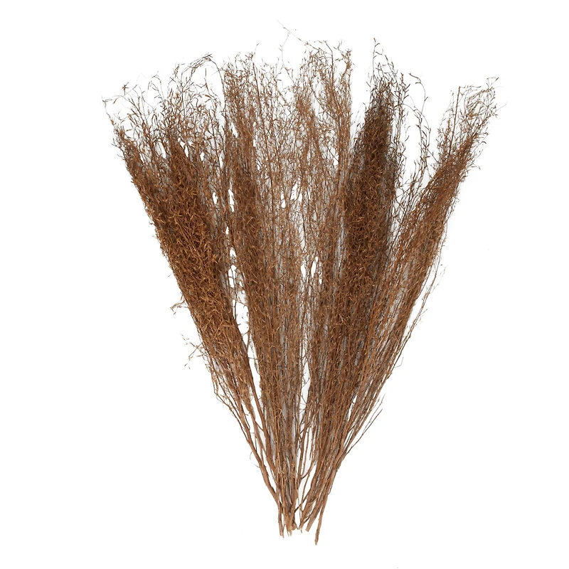 45" Brown Dried Natural Pampas Grass Foliage
