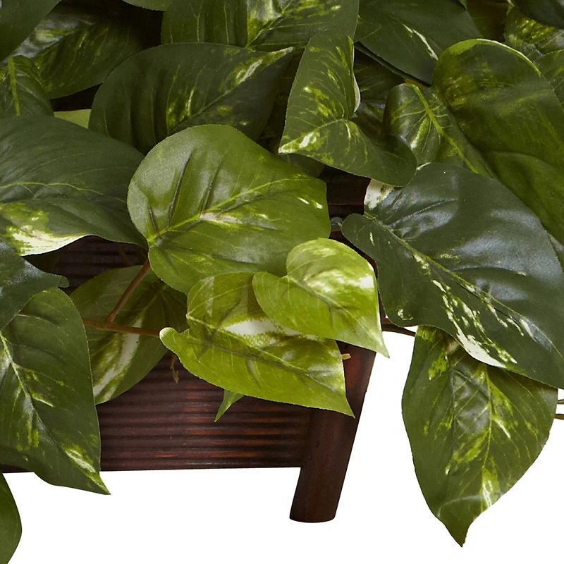 16" Pothos In Rectangle Decorative Planter