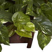 16" Pothos In Rectangle Decorative Planter