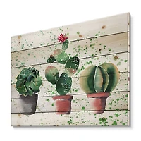 Designart - Three Cacti In Clay Pots