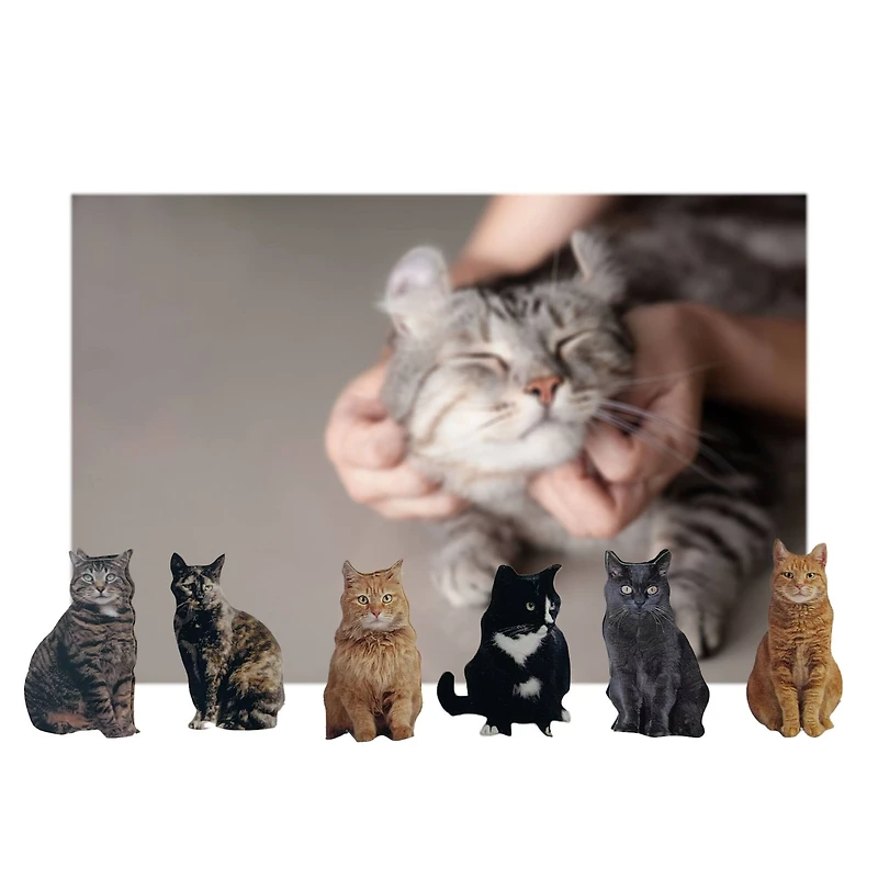 Mini Cat Stickers by Recollections™
