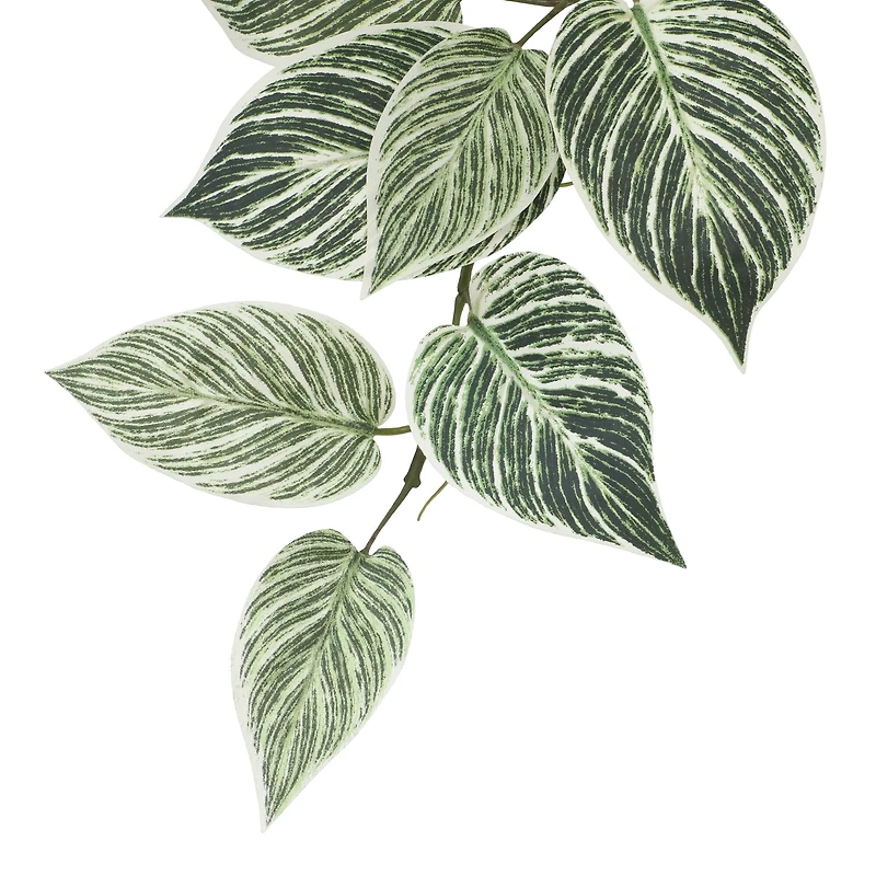 23" Philodendron Birkin Hanging Bush by Ashland®