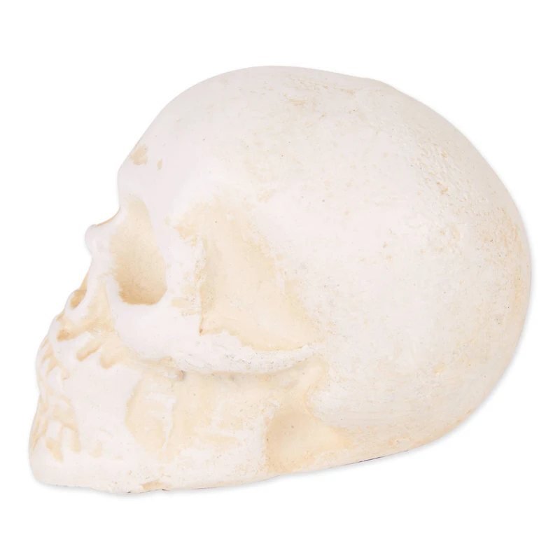 DII® Human Skull Cast Iron Paperweight