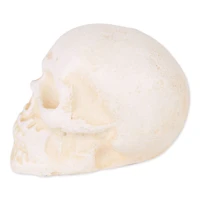 DII® Human Skull Cast Iron Paperweight