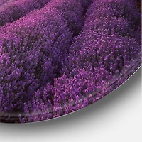 Designart - Sunrise & Dramatic Clouds Over Lavender Field XII