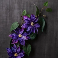 12 Pack: Purple Clematis Stem by Ashland®