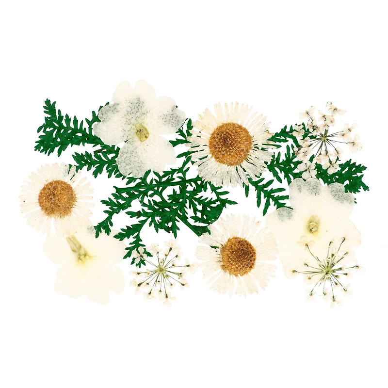 Blue Moon Studio™ UV Resin Craft White Dried Wildflower Mix