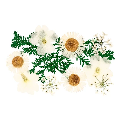 Blue Moon Studio™ UV Resin Craft White Dried Wildflower Mix