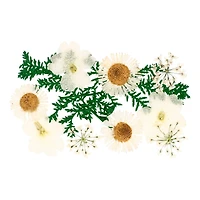 Blue Moon Studio™ UV Resin Craft White Dried Wildflower Mix