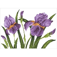 Diamond Dotz® Iris Sunset Diamond Painting Kit