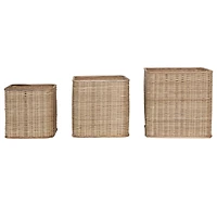 Hello Honey® Natural Handmade Palm & Rattan Basket Storage Set with Handles