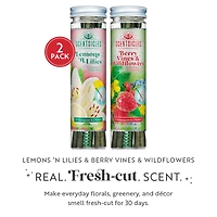 Scentsicles Stick Lemon 'n Lilies and Berryvines & Wildflowers, 2 pack of 6