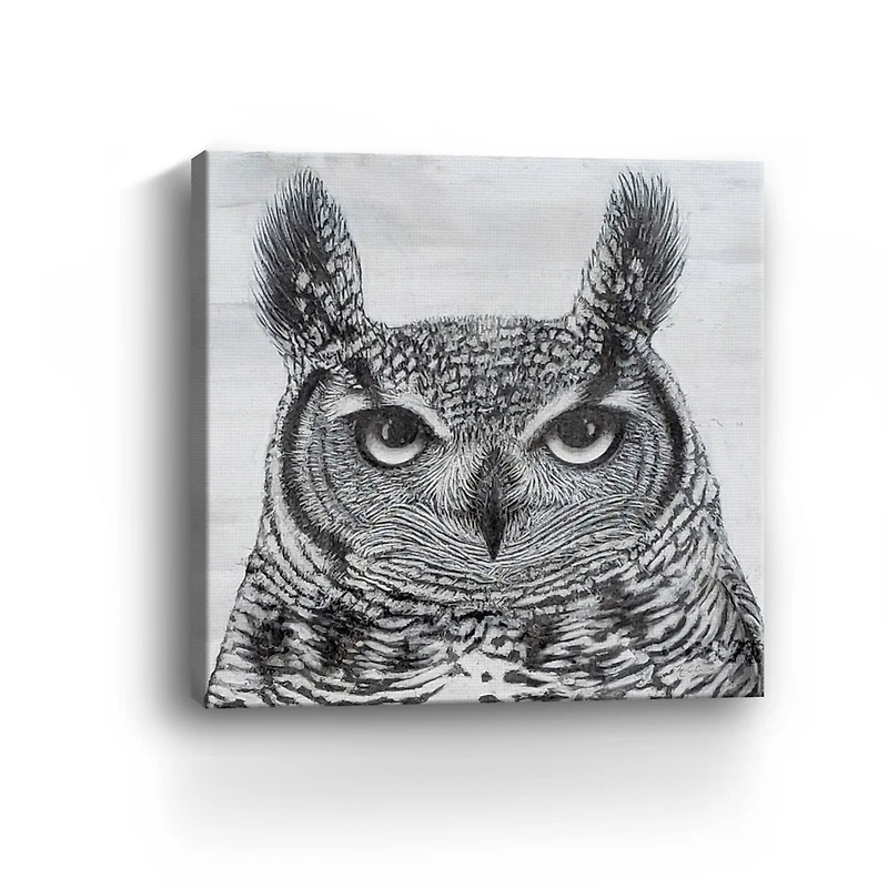 Portrait Of An Owl Canvas Giclee