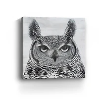 Portrait Of An Owl Canvas Giclee